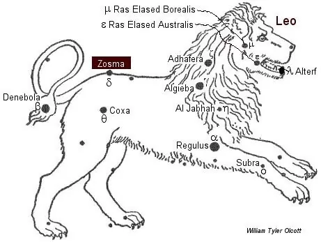 zosma