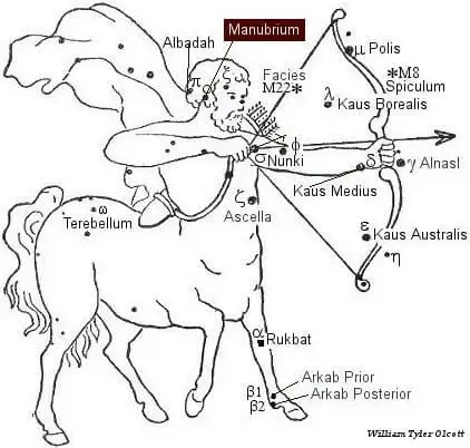 manubrium